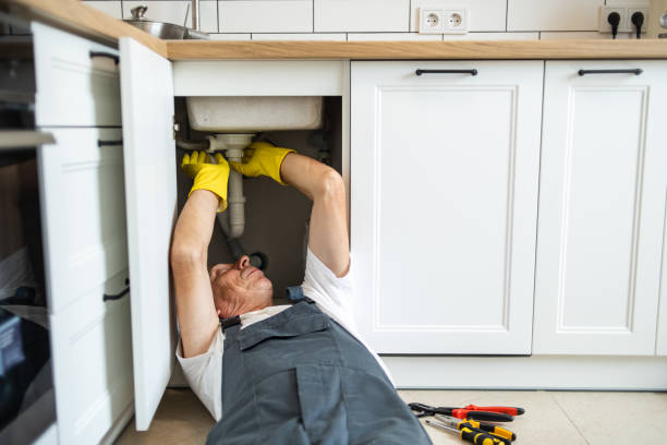 Best Commercial Plumbing Services  in Antioch, IL