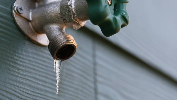 Best Shower Repair Services  in Antioch, IL